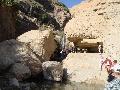 Ein-Gedi forrs